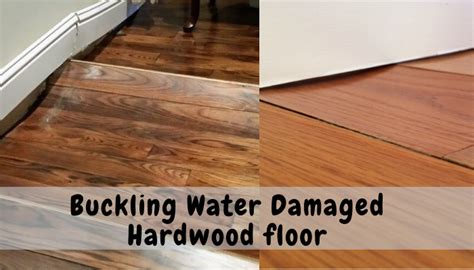 How To Fix Bamboo Floor Buckling Clsa Flooring Guide