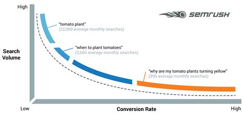 The Ultimate Guide To Long Tail Keywords And How To Use Them Within