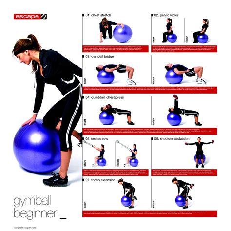 Stability Ball Progression Posters Set Of Escape Fitness Ball Exercises Beginner