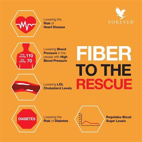 Aloe vera jeli kullanım alanları. Khasiat Serat & Fiber | 5 Kebaikan Serat Untuk Kesihatan ...