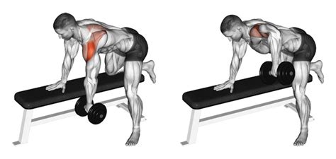 The One Arm Dumbbell Row A Simple And Effective Upper Back Builder Member Login Area Tom
