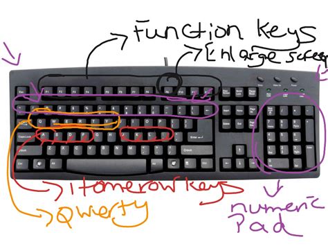 Body parts outside your body for example your skin is an external organ which is considered part of the body. Parts of the computer keyboard | Business | ShowMe