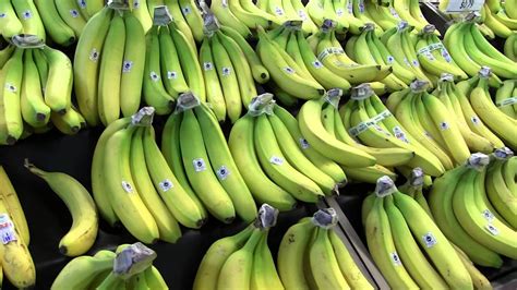 Expert recommended top 3 food trucks in lexington, kentucky. Shopping at Good Foods Co-Op in Lexington, KY - YouTube