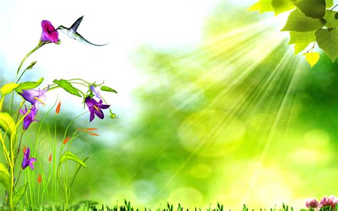 Nature Wallpaper For Powerpoint Basty Wallpaper