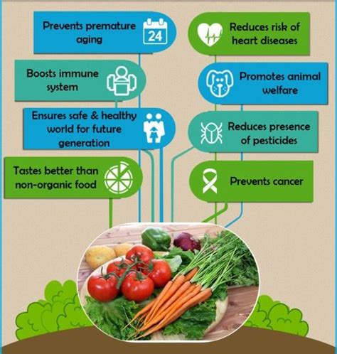 Health Benefits And Importance Of Organic Food Metromedi Blog