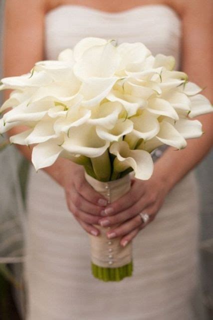 65 Elegant Calla Lilies Wedding Ideas Weddingomania
