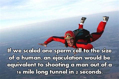 Nsfw Facts That Will Blow You Away 18 Pics