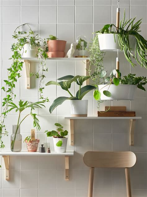 The Power Of Plants Ikea