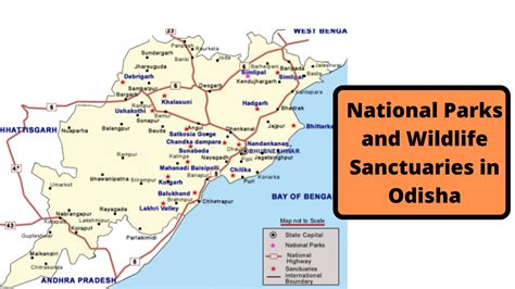 Complete List Of National Parks And Wildlife Sanctuaries Of Odisha