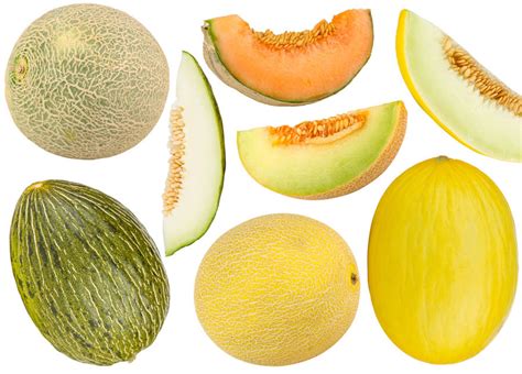 Melon Varieties A Quick Guide