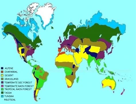 Rainforests typically receive over 2000mm of rain each year. 9 best School Projects images on Pinterest