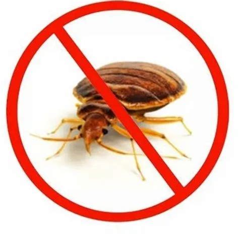 Service Provider Of Bed Bugs Pest Control And Industrial Pest Control By