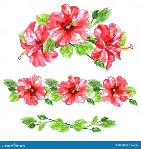 Set Of Red Watercolor Hibiscus Flower Stock Illustration Illustration