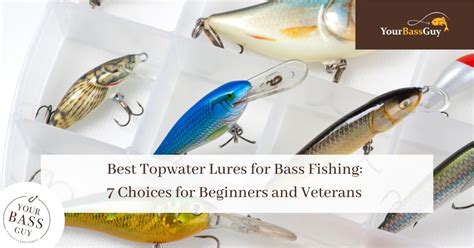 7 Best Topwater Lures For Bass 2021 Anglers Pro Guide