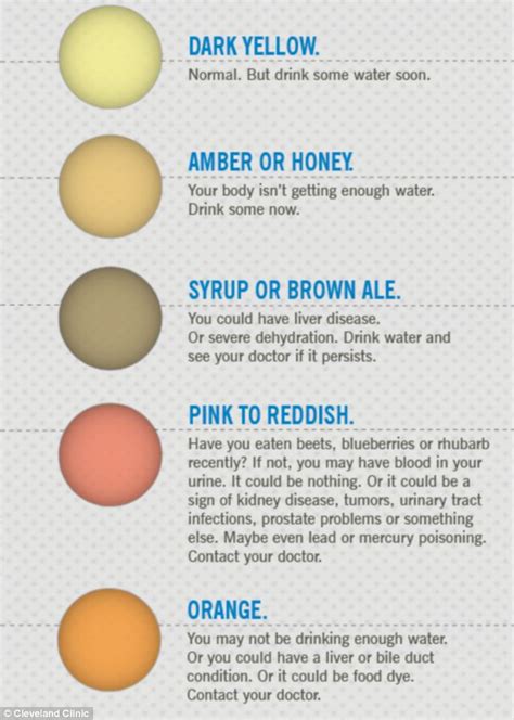 What Does Your Pee Say About Your Health New Diagram Shows When To Be