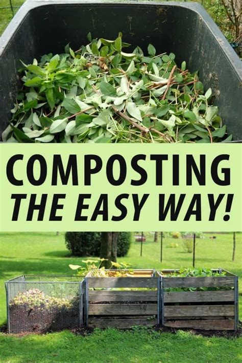 Composting The Easy Way • New Life On A Homestead Compost Worm