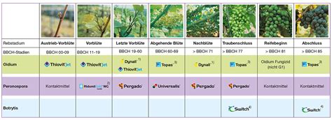 Erscheinen des letzten blattes (fahnenblatt). Pergado | Syngenta