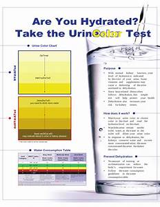Dehydration Urine Color Chart Free Download