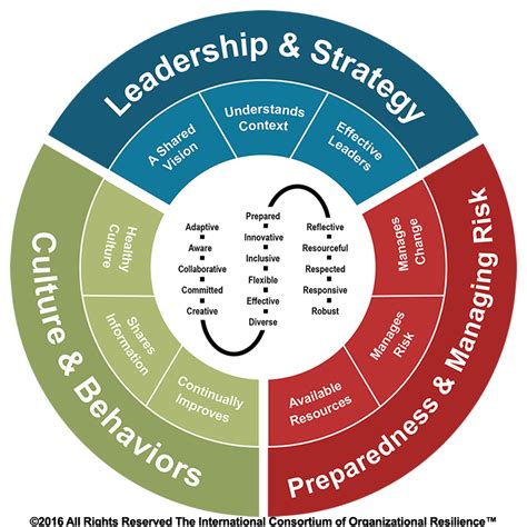 Building Organizational Resilience — Part 1 Leadership And Strategy