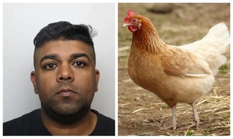 37yr Old Muslim Man Jailed In Uk For Raping A Chicken His Wife Filmed