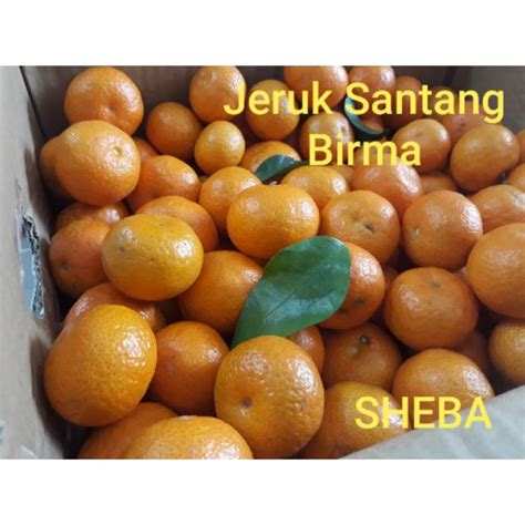 Jual Jeruk Santang Birma Box 5kg Shopee Indonesia