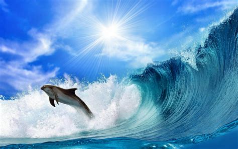 Dolphin Jumping Through The Waves