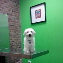 Gill and the rest of the staff here at a central north animal hospital are proud to offer our clients the best and most advanced animal care. Prospect Heights Animal Hospital - 28 Photos & 133 Reviews - Veterinarians - 277 Flatbush Ave ...
