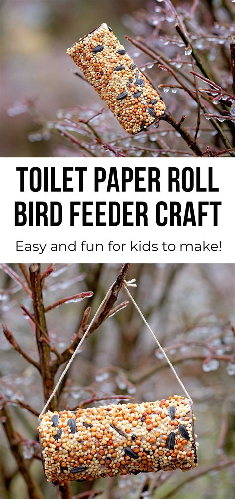 (that's the best part about this birdseed feeder…no strings needed. Toilet Paper Roll Bird Feeder | Fireflies and Mud Pies ...