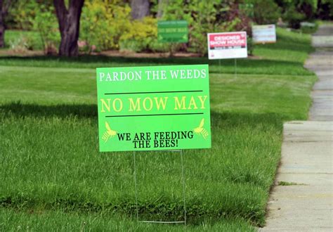 How ‘no Mow May Is Taking Over Some Connecticut Neighborhoods