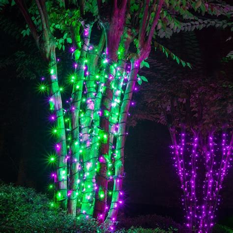 Mini lights with black wire. Wide Angle 5MM LED Lights - 70 5mm Purple, Green LED ...