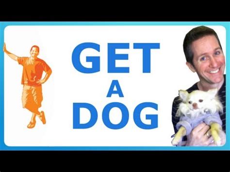 If your dog doesn't get enough opportunities to eliminate when he's relaxed and in a comfortable environment, he may retain his stool too long, causing it to be hard and painful when he does try to defecate. PARENTS & PUPPIES - HOW TO CONVINCE YOUR PARENTS TO GET ...