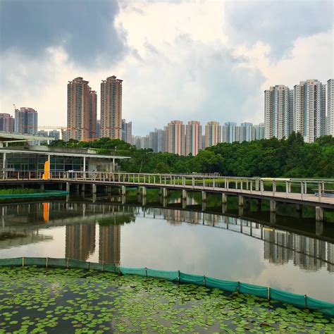 Hong Kong Wetland Park All You Need To Know Before You Go