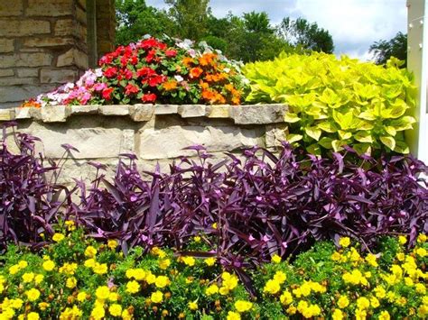 Beautiful, fresh flowers delivered free. Seasonal Flowers for Summer | Flower display, Seasonal ...