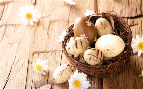 Easter Eggs Daisies Flowers Wallpaper Nature And Landscape