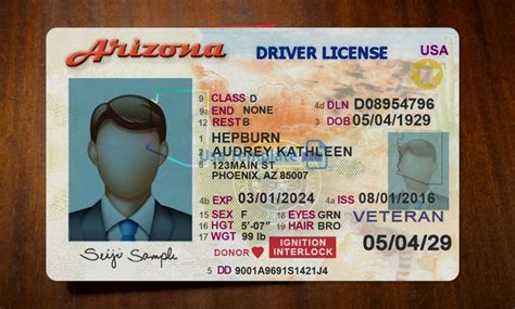 Arizona Driver License Template High Quality Driving License Psd Template