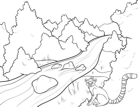Coloring Page Of A River