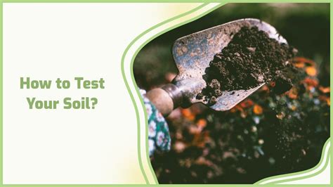 How To Test Your Soil And Why Testing Is Important 🧪