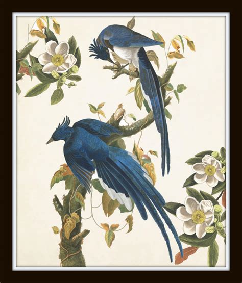 Blue Birds Print Set No 1 Botanical Prints Wall Art Etsy