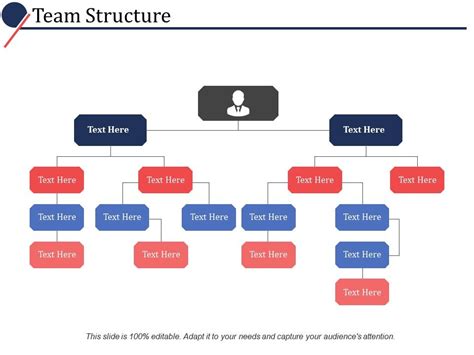 Team Structure Ppt Templates
