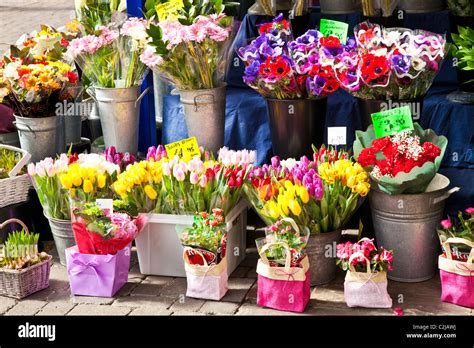 Floral Display Of Cut Bunches And Bouquets Of Spring Flowers Outside A