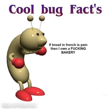 Cool Bug Facts Memes Piñata Farms The Best Meme Generator And Meme