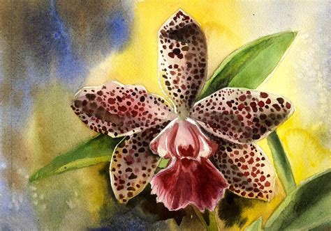 Choose your favorite sunflower paintings from 19,181 available designs. Pink Cattleya Orchid Painting by Alfred Ng