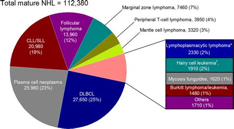 Pdf B Cell Lymphoma Types Pdf Télécharger Download