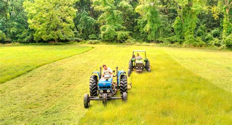 Field Mowing Pastures Farms Land Development Mowing And More