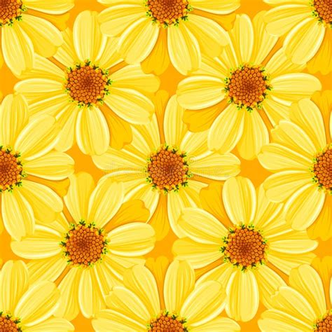 Floral Seamless Pattern Daisy Stock Vector Illustration Of Paper