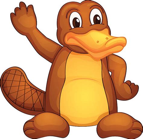 Cartoon Platypus Pictures Free Download On Clipartmag