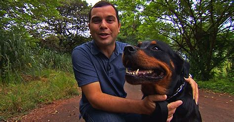 Homem Tendo Relação Com Animais