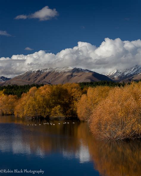 Lake Tekapo Fall Color Trees Turned Golden With Fall Color Flickr