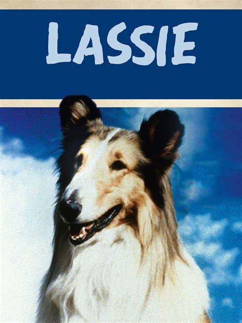 Lassie Tv Listings Tv Schedule And Episode Guide Tv Guide