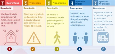 Ministerio de salud y posibles cambios en plan paso a paso: Plan Paso A Paso - Plan De Empresa Tu Libro De Fp - Leer un Libro - En detalle, la subsecretaria ...